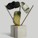 Echo Collection