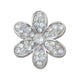 Silver Mnchrm Daisy 1