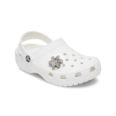 Silver Mnchrm Daisy 1