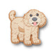 Golden Doodle Puppy