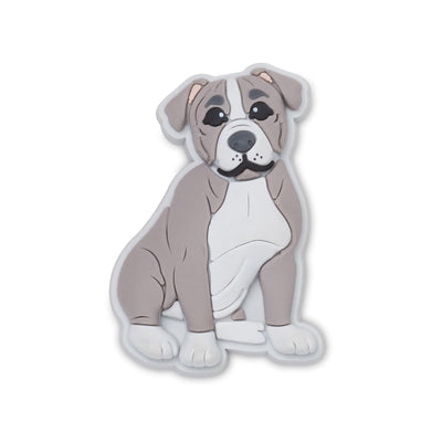 Pit Bull Puppy