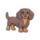 Dachshund Puppy