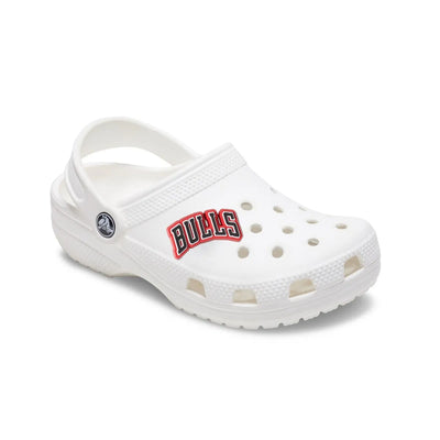 NBA Chicago Bulls 2