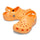 Classic Clog
