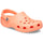 Classic Clog
