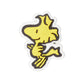 Jibbitz™ Peanuts Woodstock