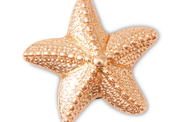 Jibbitz™ Gold Star Fish