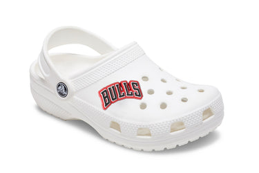 NBA Chicago Bulls 2