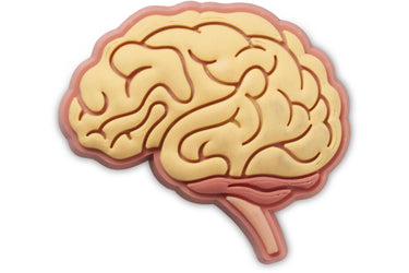 Jibbitz™ Anatomical Brain