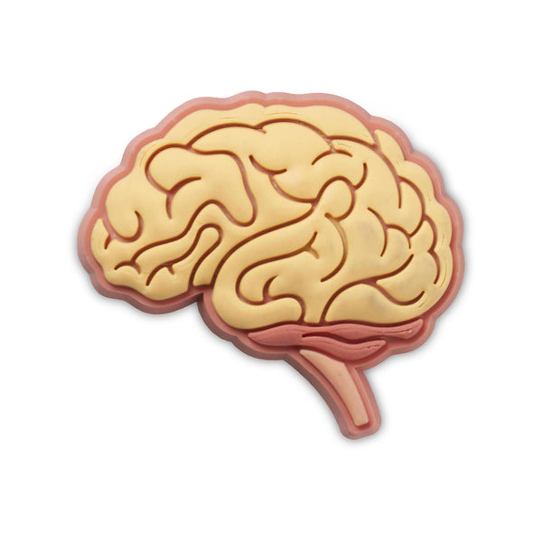Jibbitz™ Anatomical Brain