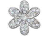 Silver Mnchrm Daisy 1