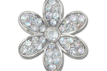 Silver Mnchrm Daisy 1