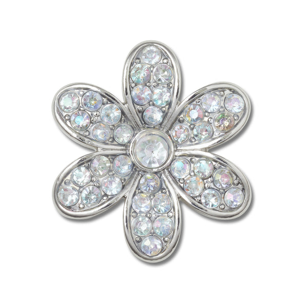 Silver Mnchrm Daisy 1