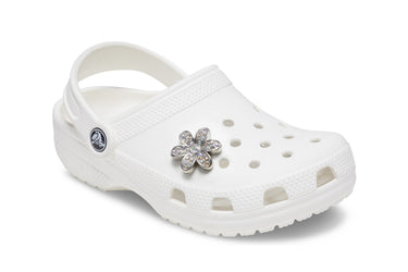 Silver Mnchrm Daisy 1