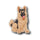 German Shepherd Puppy