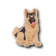 German Shepherd Puppy