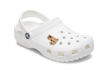 German Shepherd Puppy