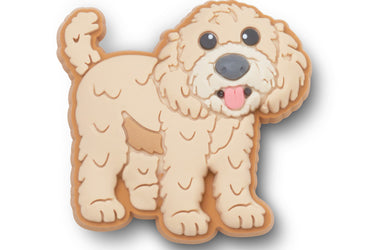 Golden Doodle Puppy
