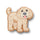 Golden Doodle Puppy