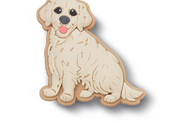 Golden Retriever Puppy