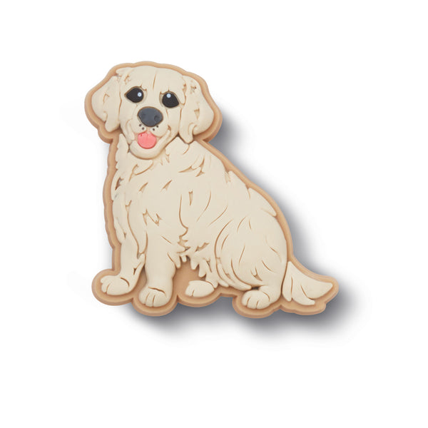 Golden Retriever Puppy