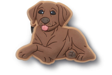 Brown Lab Puppy