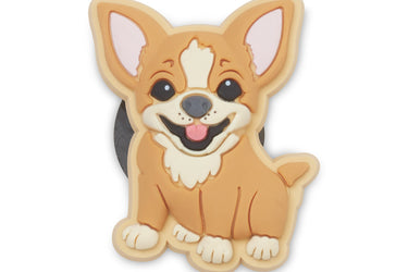 Chihuahua Puppy