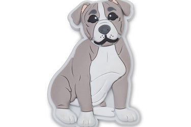 Pit Bull Puppy