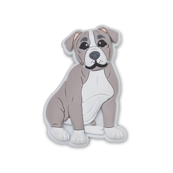 Pit Bull Puppy