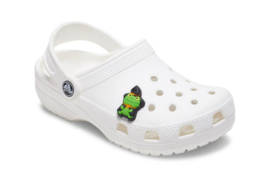 Jibbitz Froggie Witch