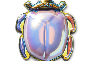 Dimensional Beetle