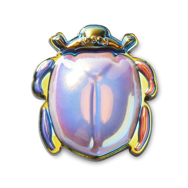 Dimensional Beetle