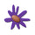 Purple Crafted Daisy