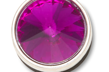 Jibbitz Silver Purple Stud