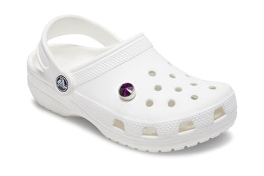 Jibbitz Silver Purple Stud