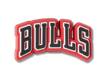 NBA Chicago Bulls 2
